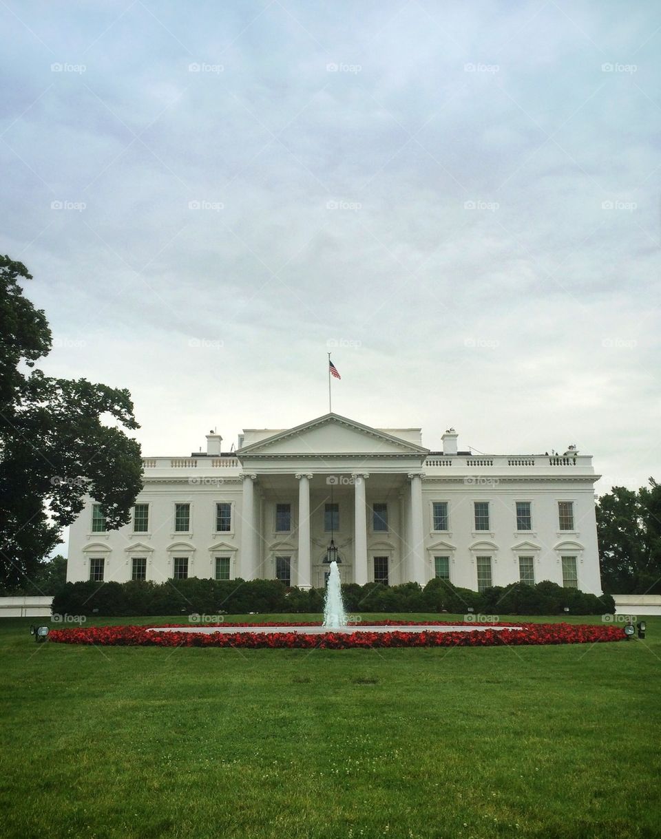 White House 