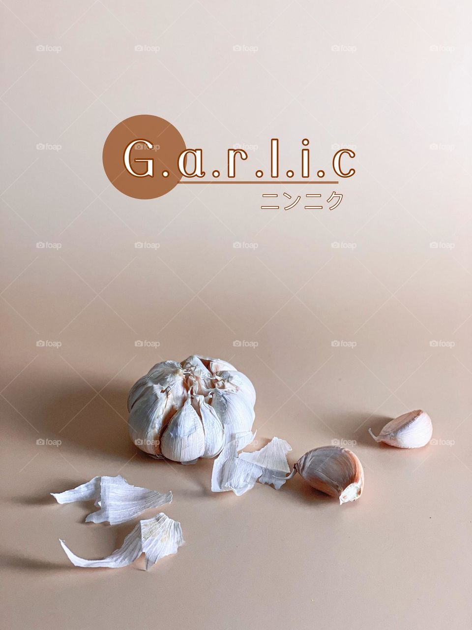 Fresh garlics bulb and cloves on plain background with english and japanese font.