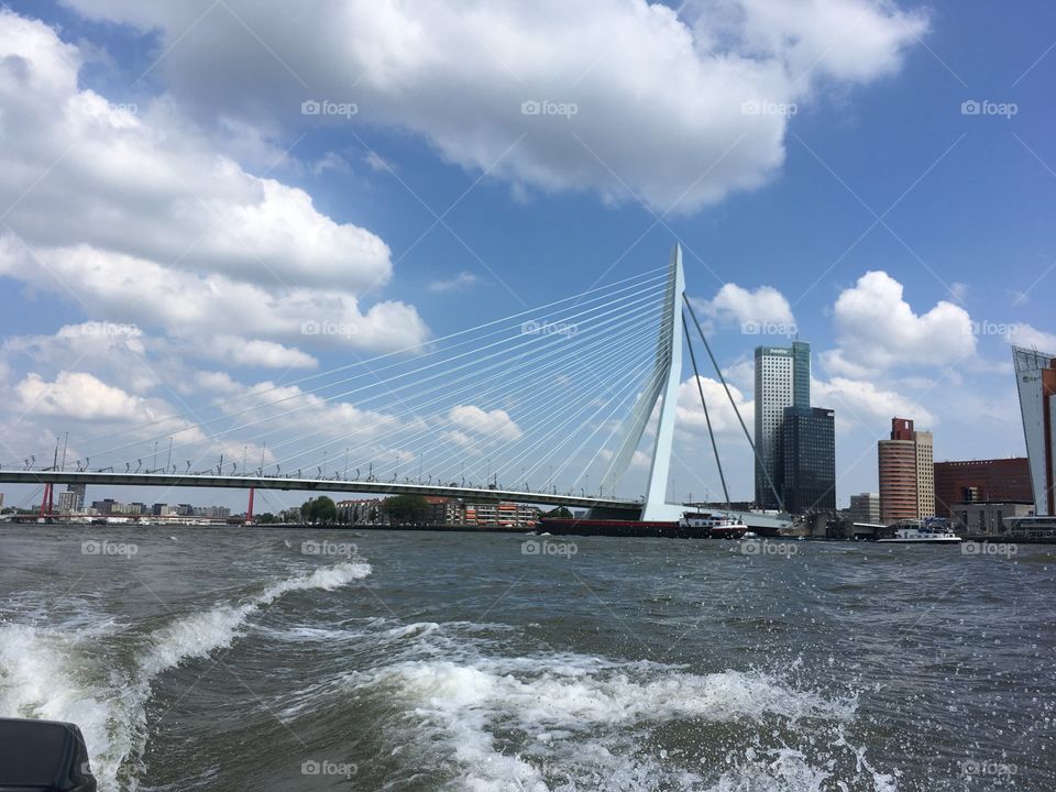 Erasmus Bridge Rotterdam Bridge