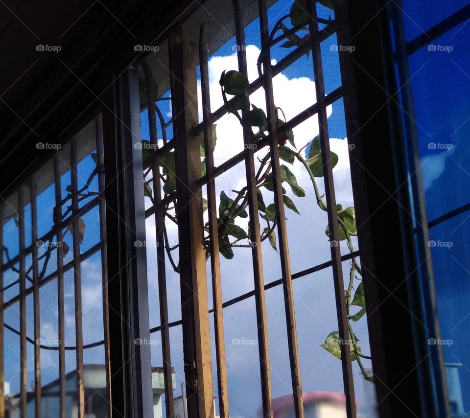 clouds with sunny day