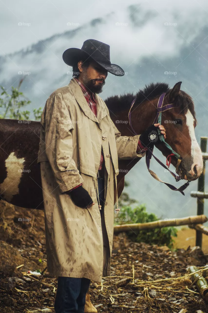 horse