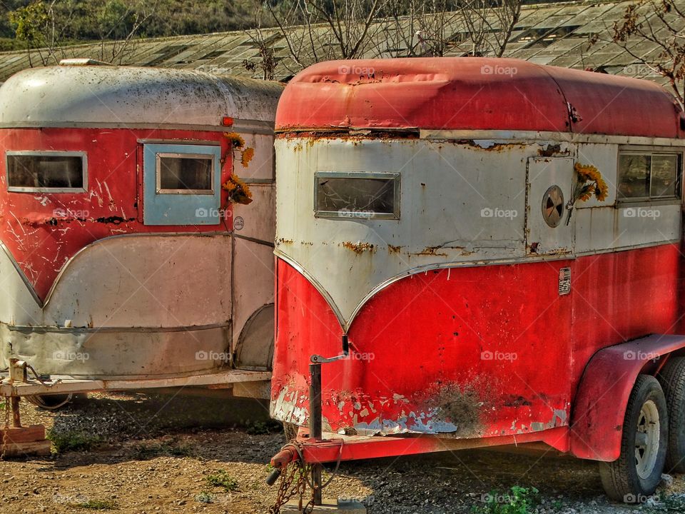 Horse Trailers