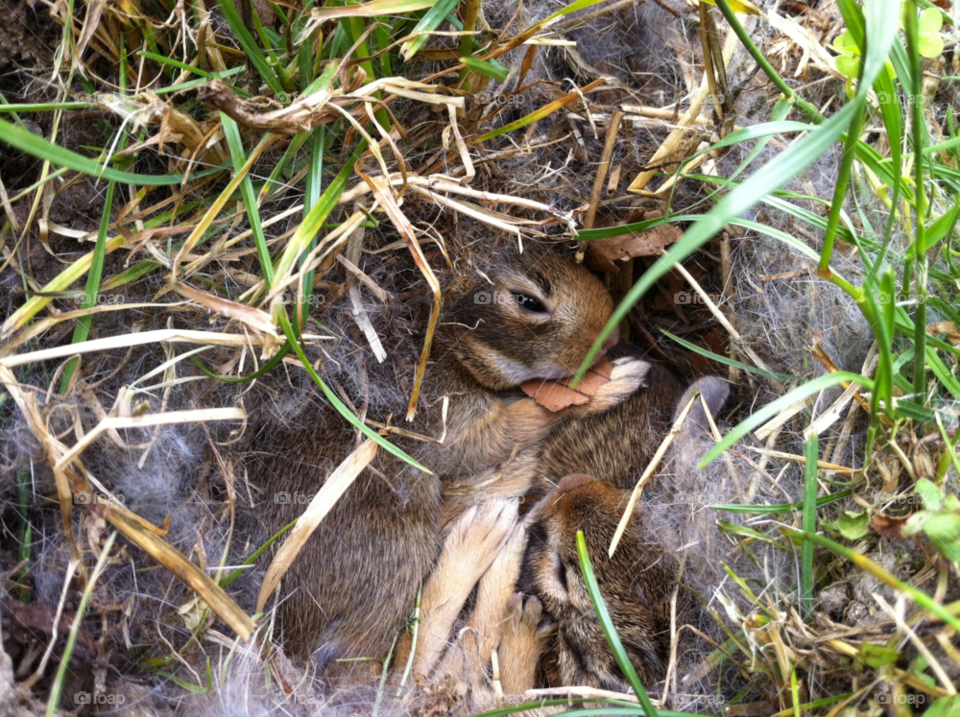 nature baby eye warm by mengzishiliu