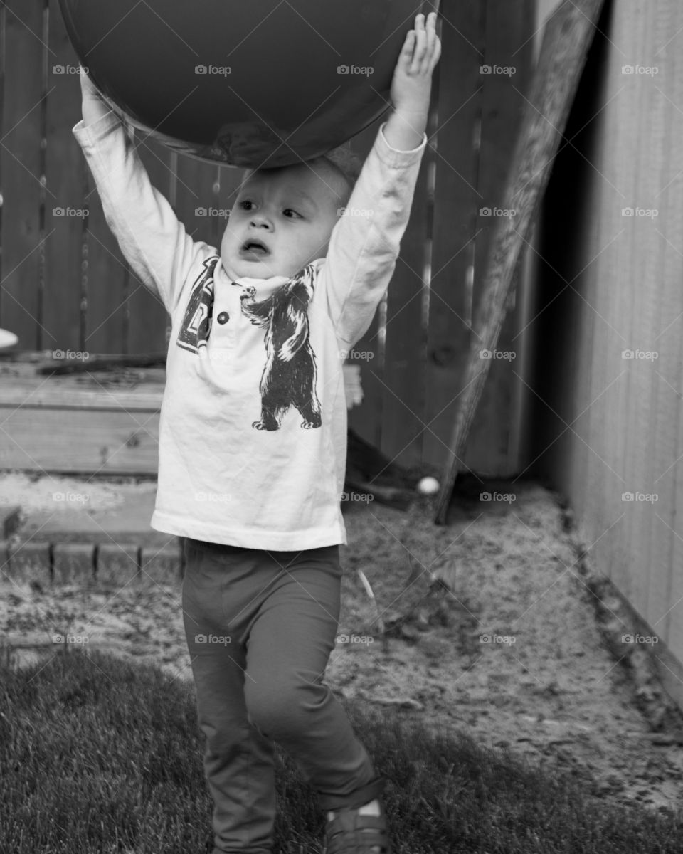 An adorable toddler boy plays catch with a huge ball in the yard on a sunny summer day. 