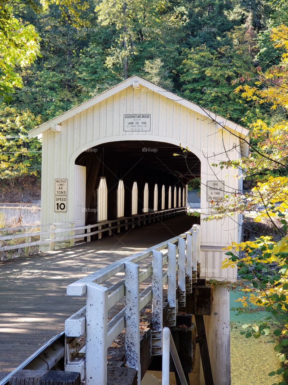 The old covered Goodpasture Bridge built in 1938 near Vida in Western Oregon on a sunny autumn day with lots of fall color around it.