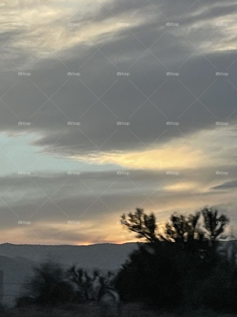 Combination of beauty and serenity.