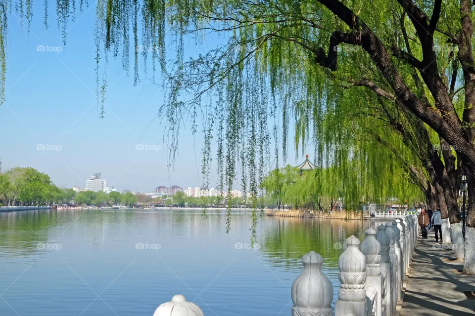 Winter in Shichahai, Beijing