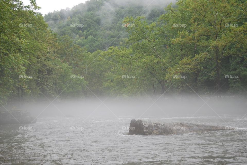 Fog on river