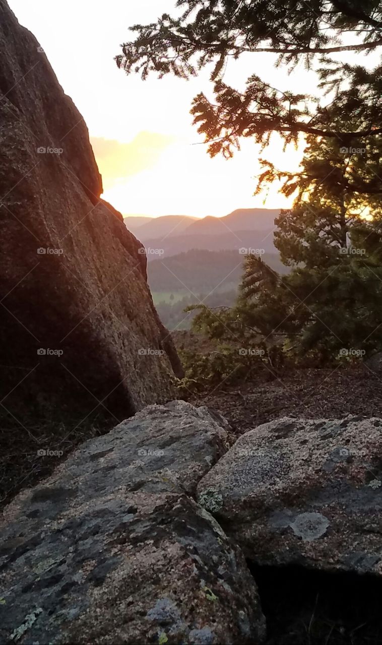 Conifer Colorado Sunset #5