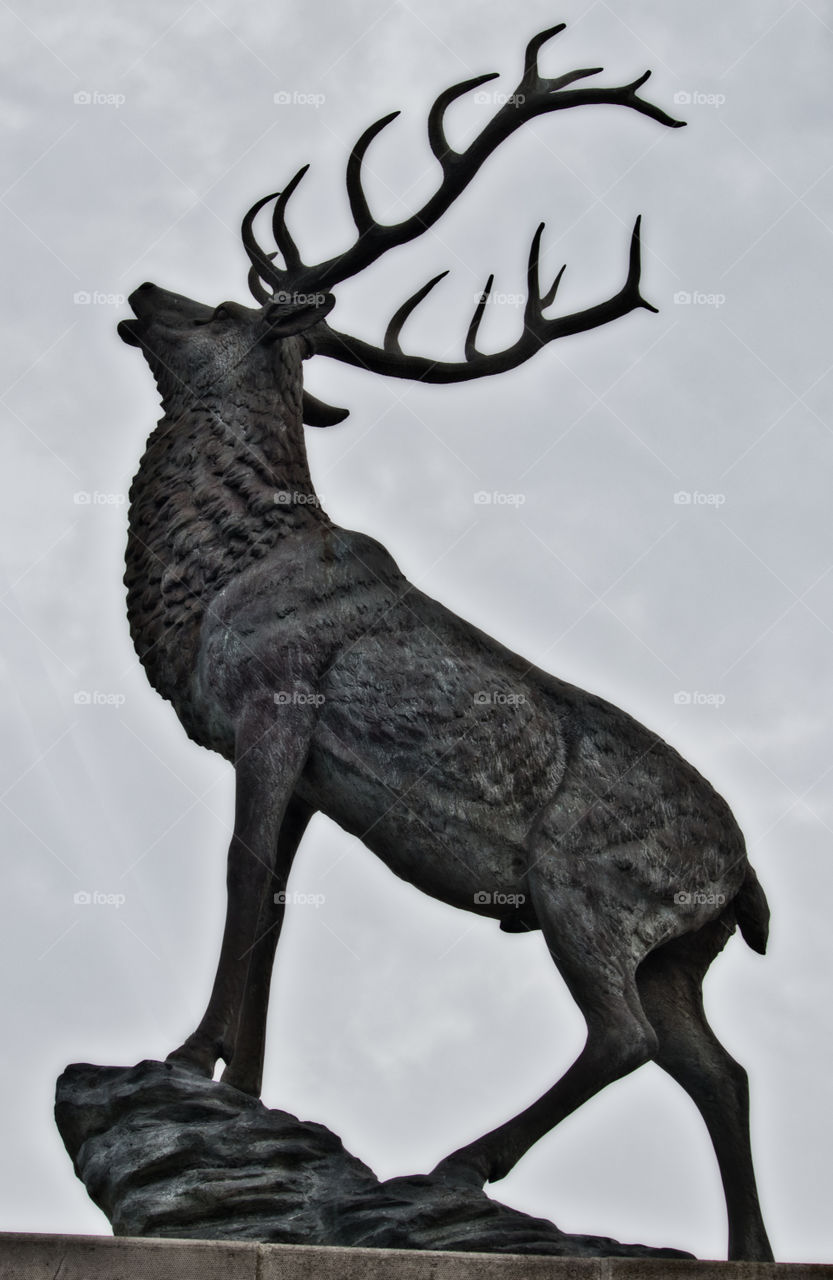 Stag statue Hartlepool
