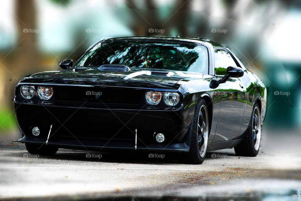 Muscle cars 