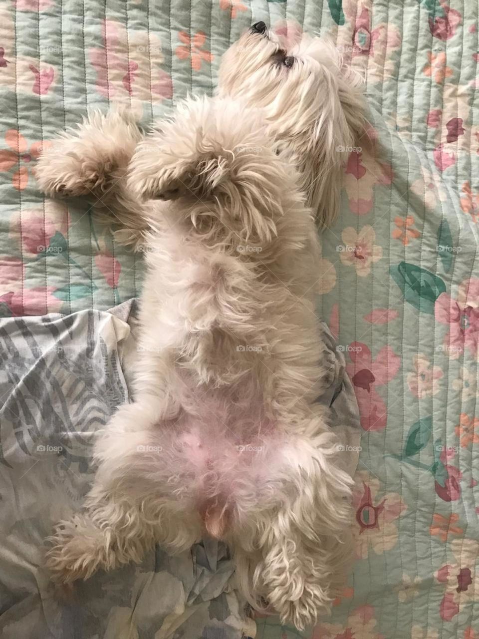 Small moments of happiness 