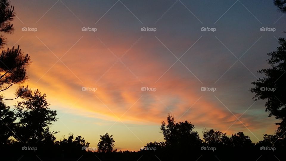 Unusual Sky. it had been a cool day and I was outside just as the sun started to set. One friend said this looked like a baby back rib and another friend said it looked like a DNA chain.