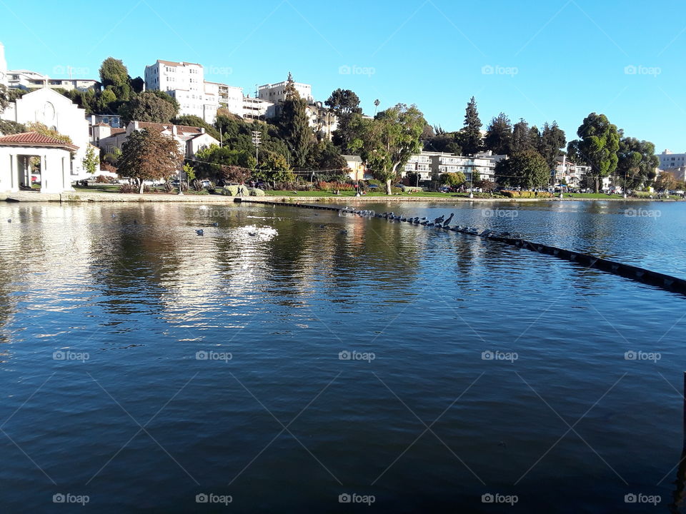 Lake Merritt Oakland California