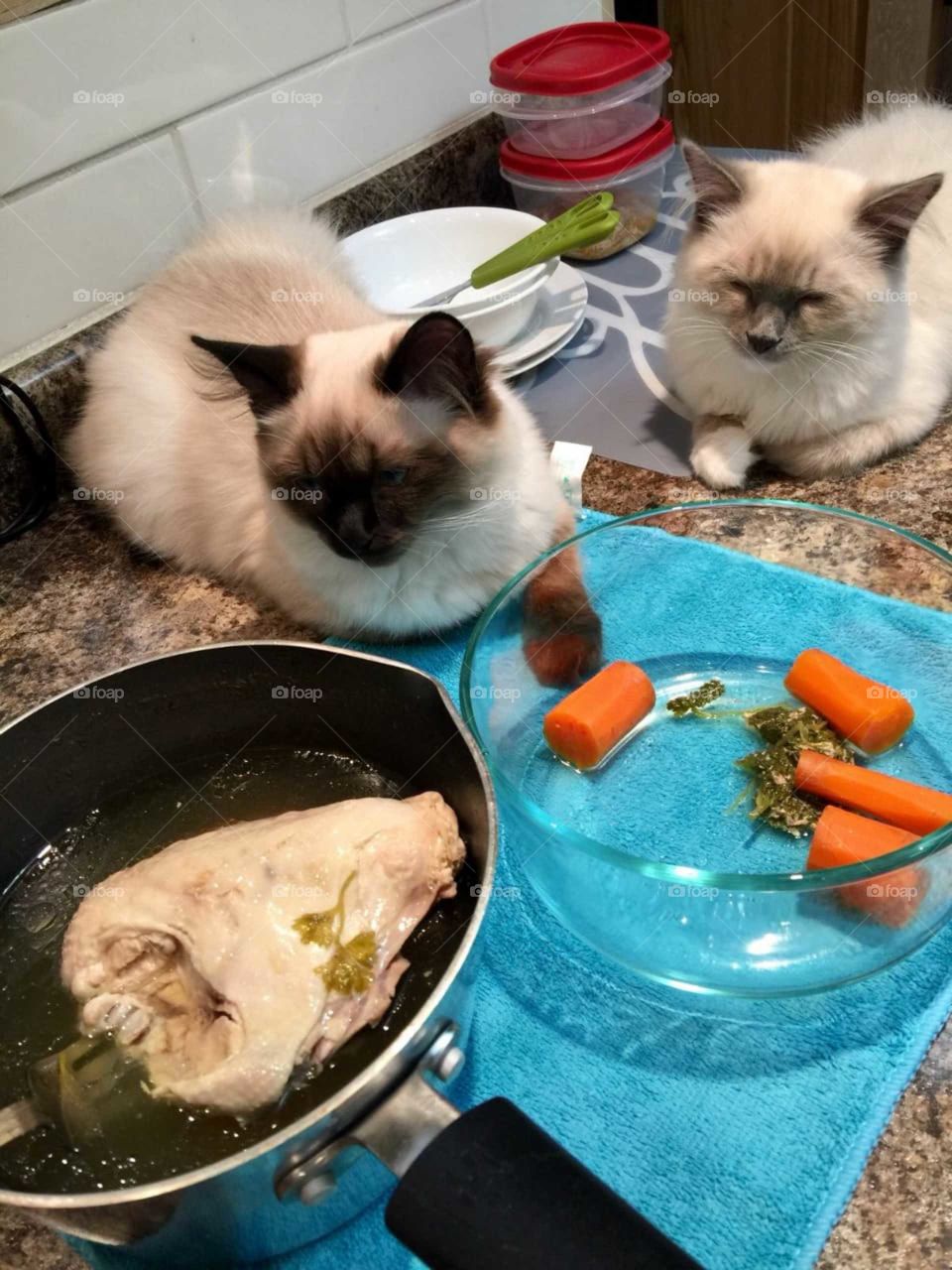is this our food?