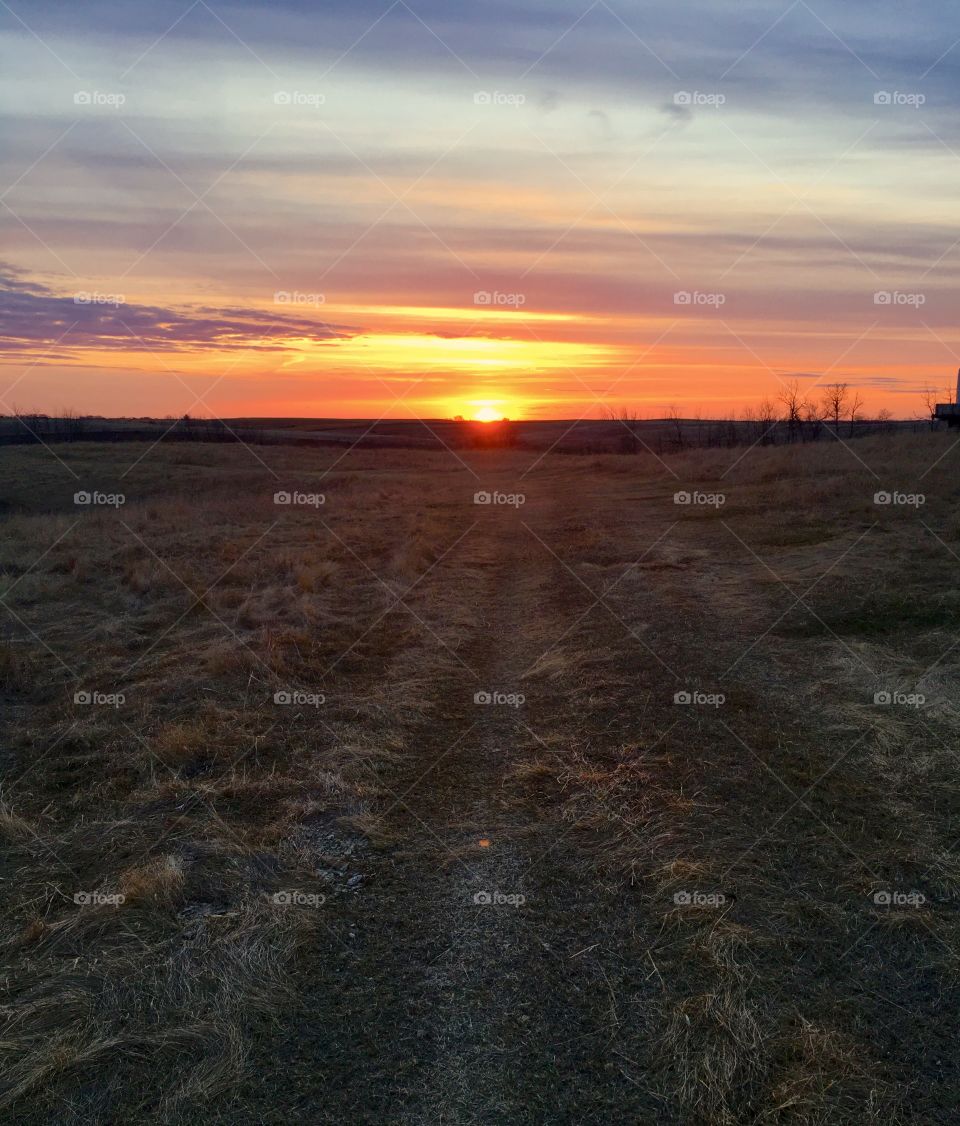 Down the evening trail