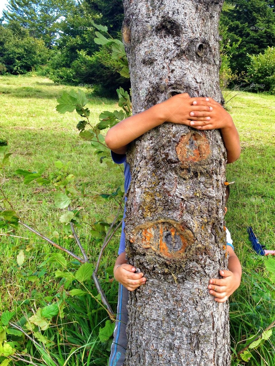 hands and tree