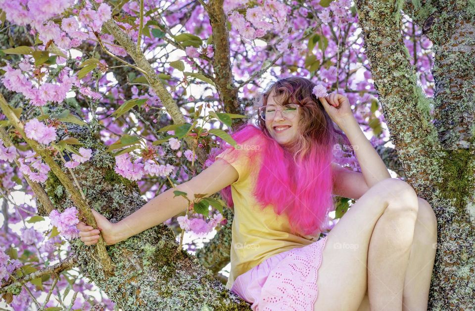 Girl with pink hair on pink cherry tree