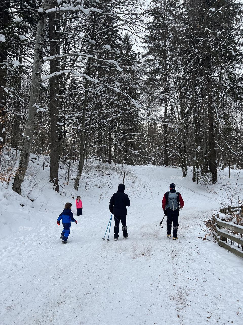 Walking in the snow