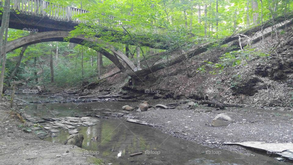 Hiking trail bridge over a stream