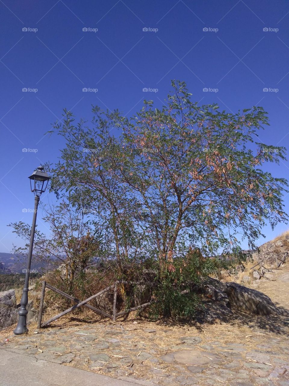 Best of 2021: Nature