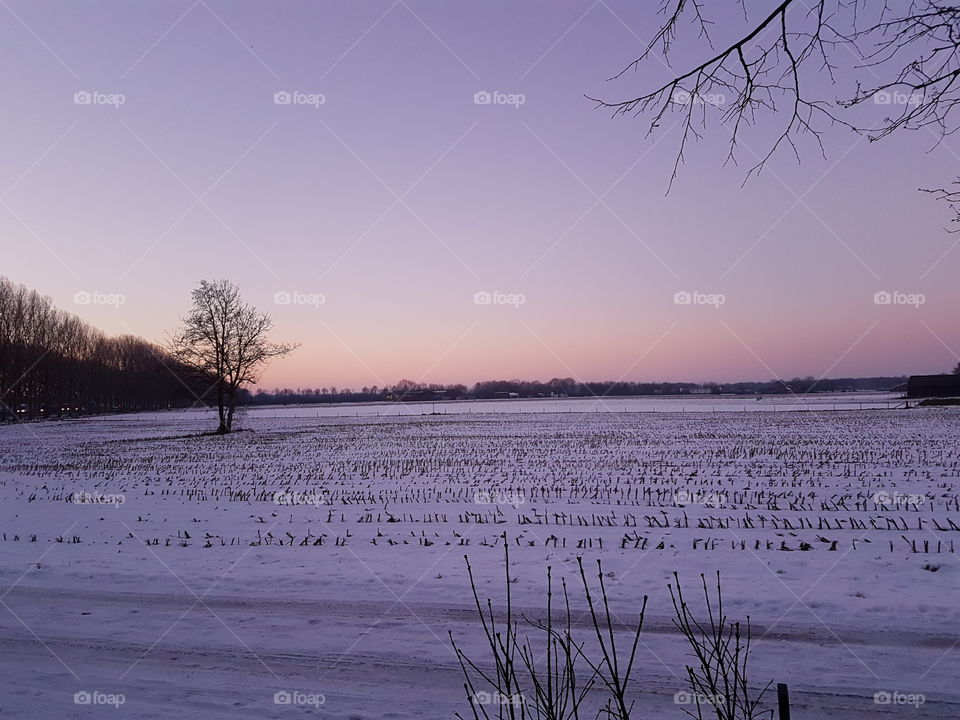 Dawn, Winter, Landscape, No Person, Water