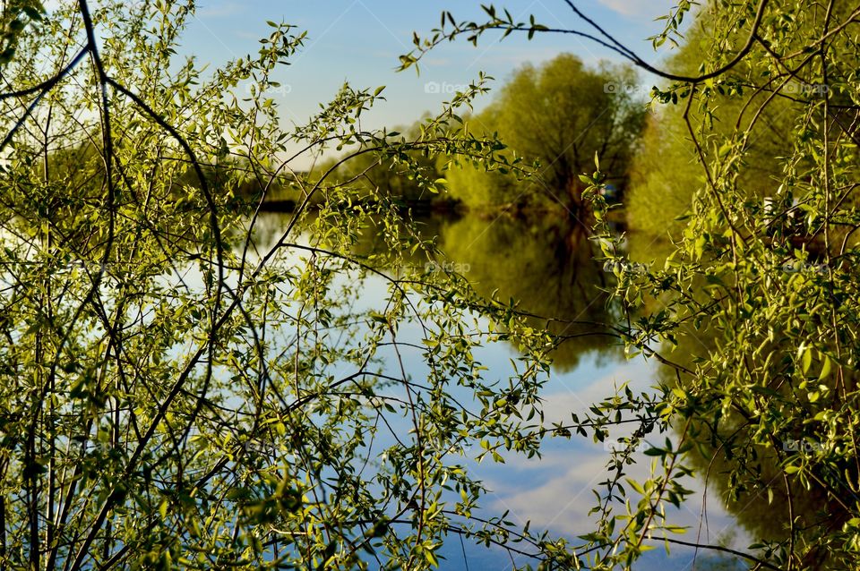When coming to the village or walking through the forest, each of us stopped at least once to admire the landscapes of our small homeland.