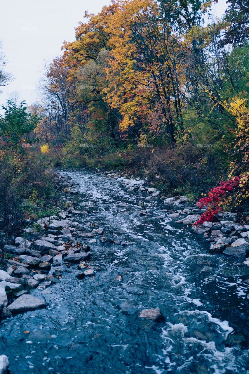 amazing flow of water during g a nice autumn weather