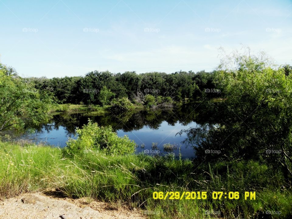 Texas pond. This is a picture of a beautiful place to fish 🐠 I saw this place while out riding my bike 🚲 this weekend.