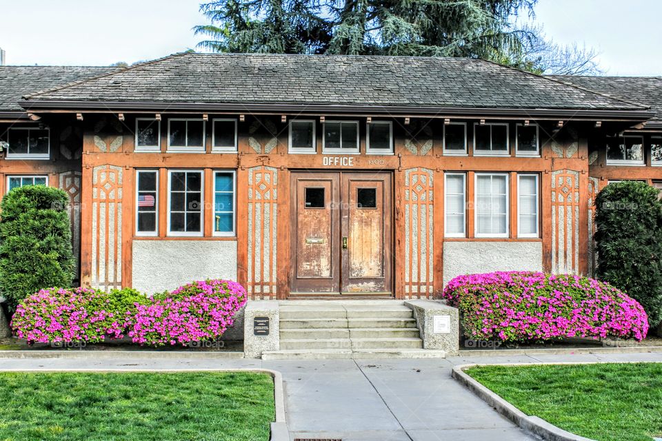 Springtime Architecture