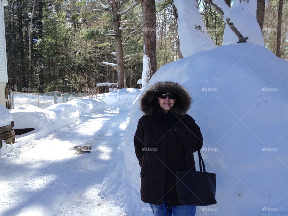 Snowbank Snowstorm Tree