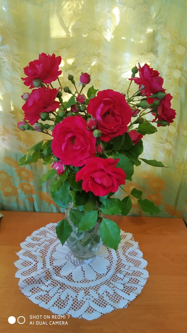 red roses