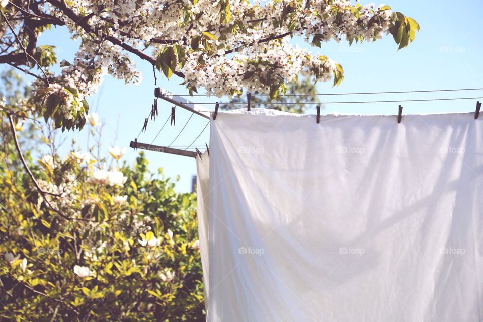 Laundry in the backyard 