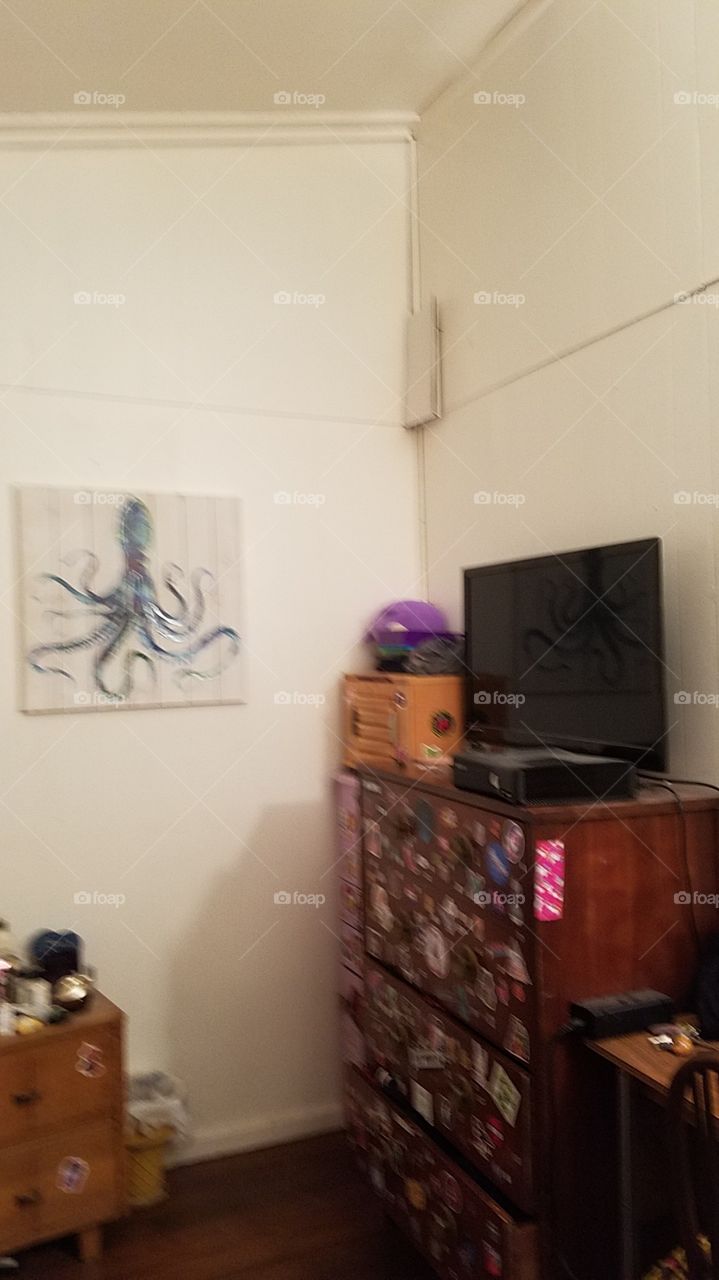 octopus bed room