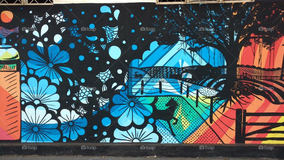 Belas Artes de Rua. Grafite, pinturas artísticas em muros, paredes das cidades em pontos turísticos.