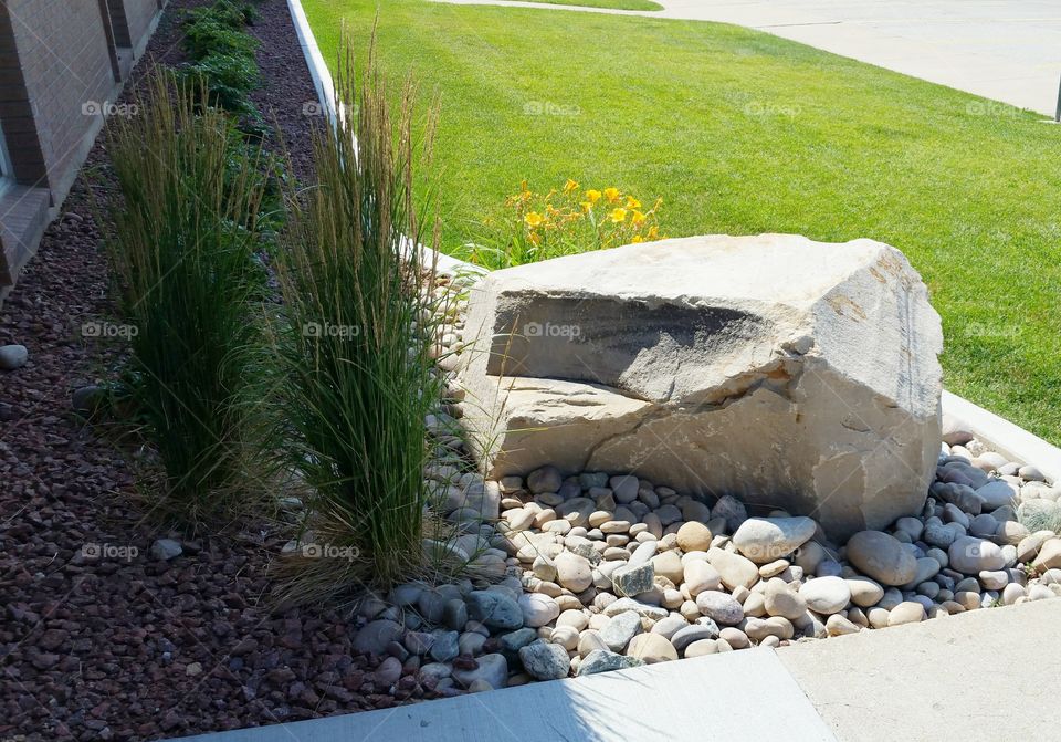 bolder rocks and plants