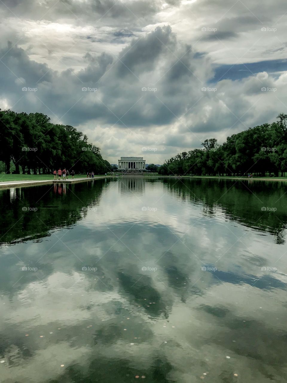 Amazing mirror images from the reflection pool 
