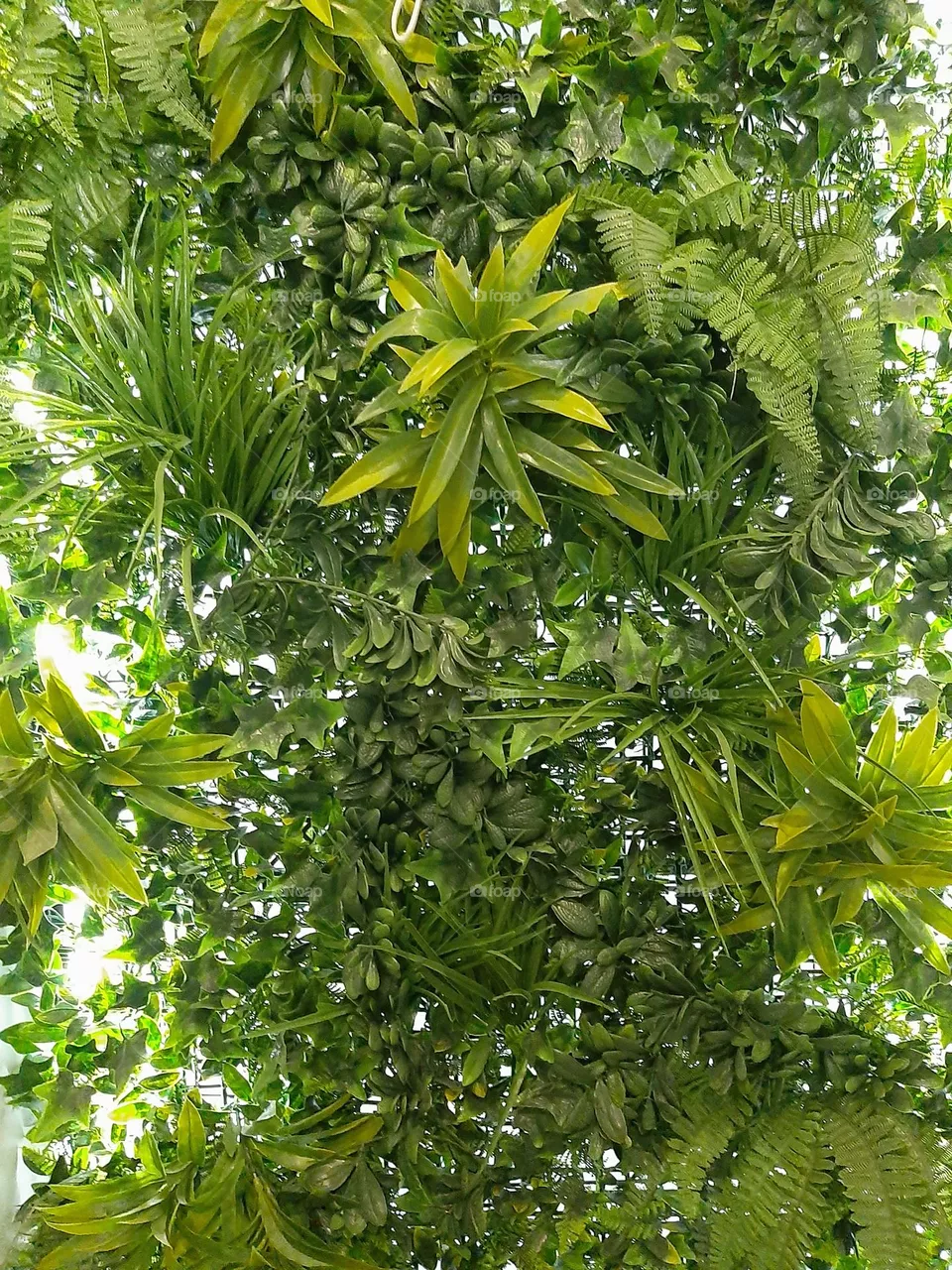 Nature Pattern