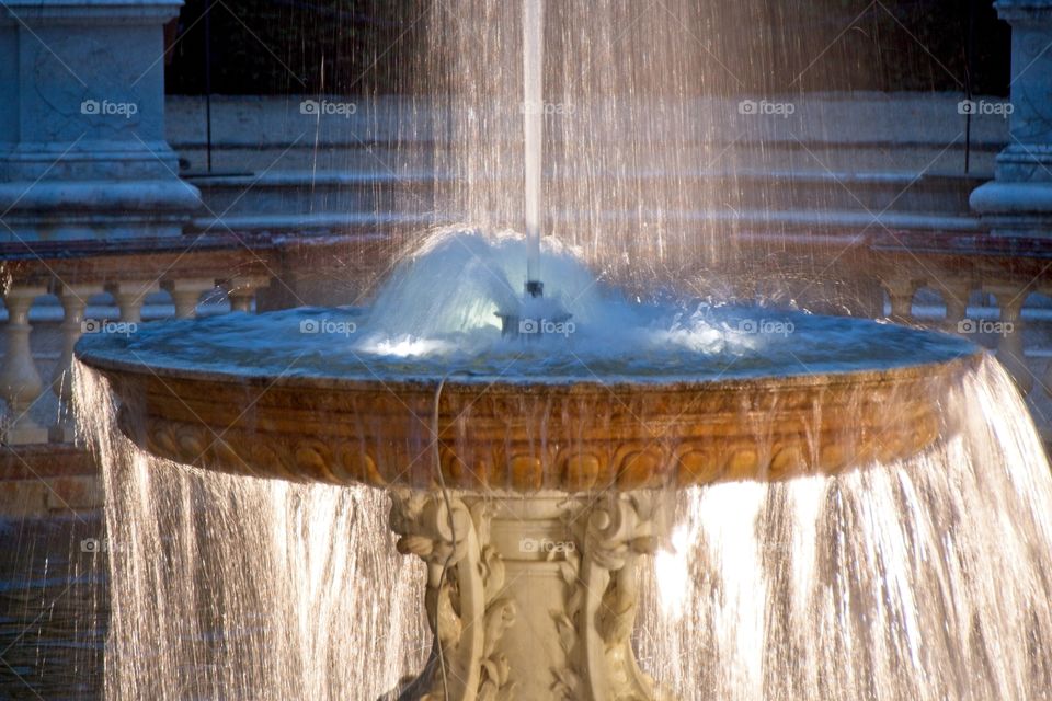 fountain in the garden