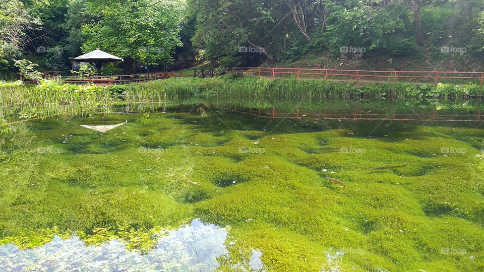 The green breath of nature which relaxing your eyes and your brain
