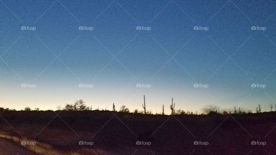 Sunrise silhouette Arizona