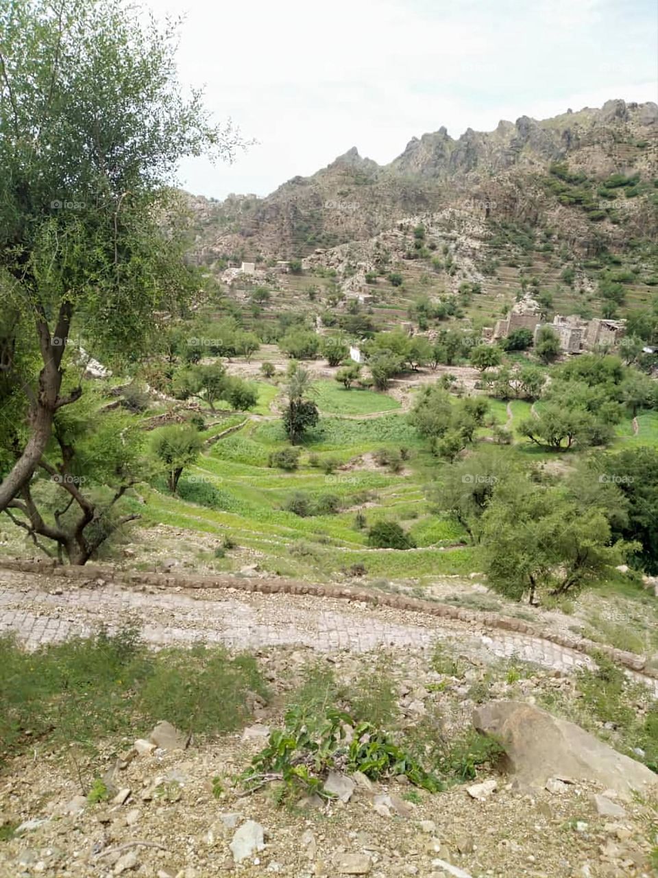 Glory be to God, the magnificent and picturesque view and the natural green trees are a view that is nothing more wonderful than it