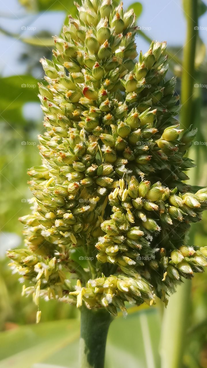 this is very close clicks