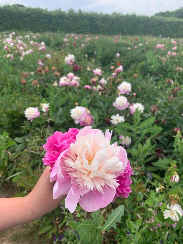 💐💐