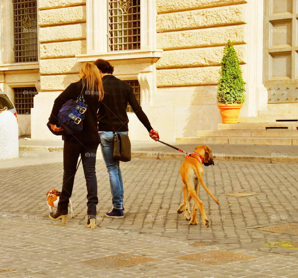 italy dog family love by mrarflox