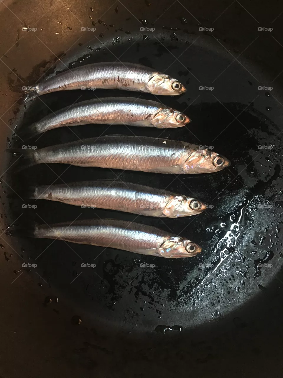 anchovies fish