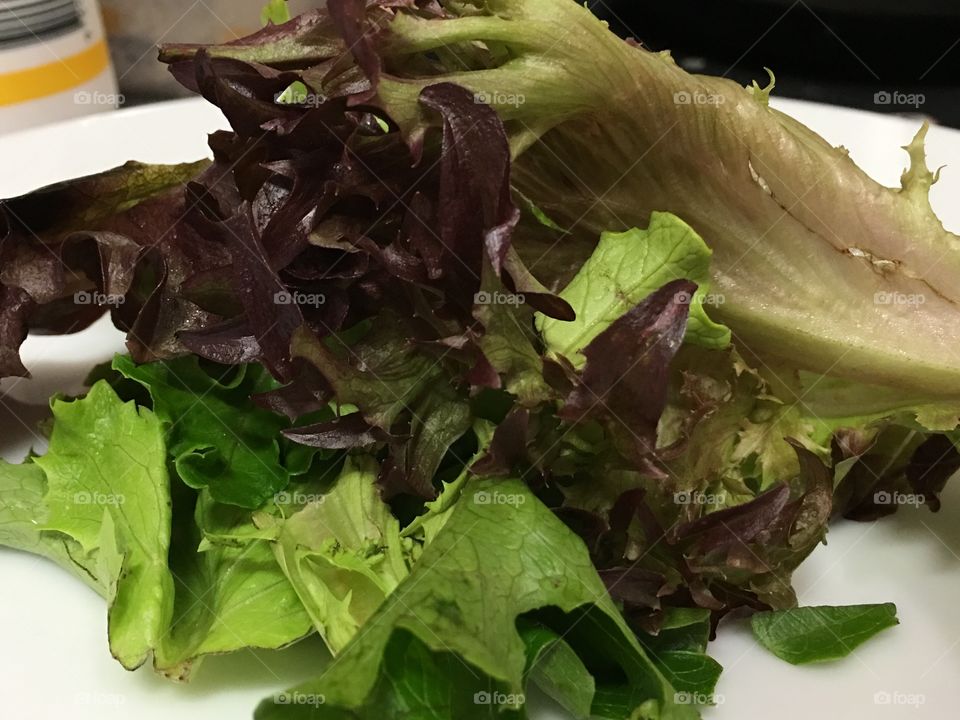 Spring lettuce mix on plate closeup