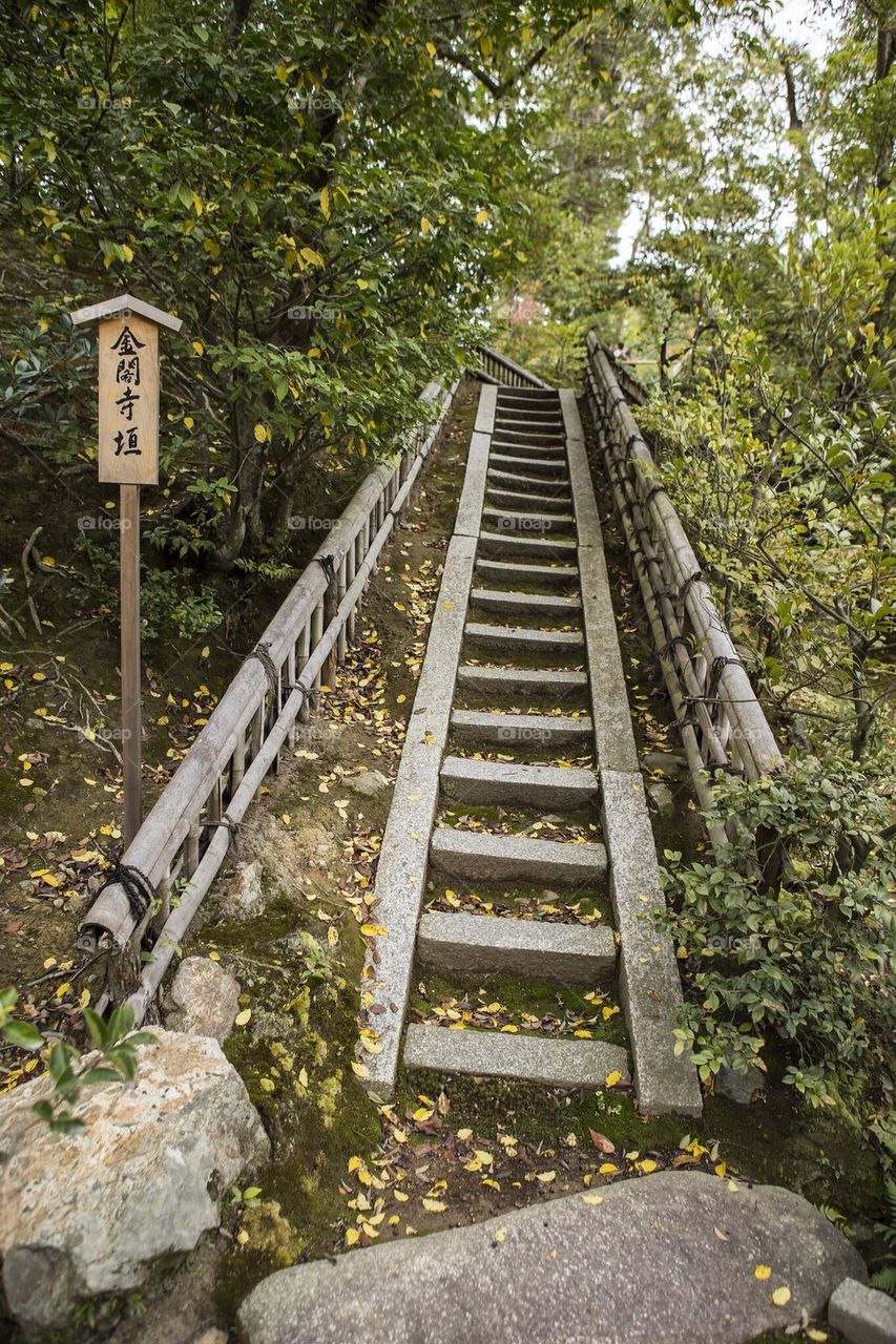 Forest stairs 