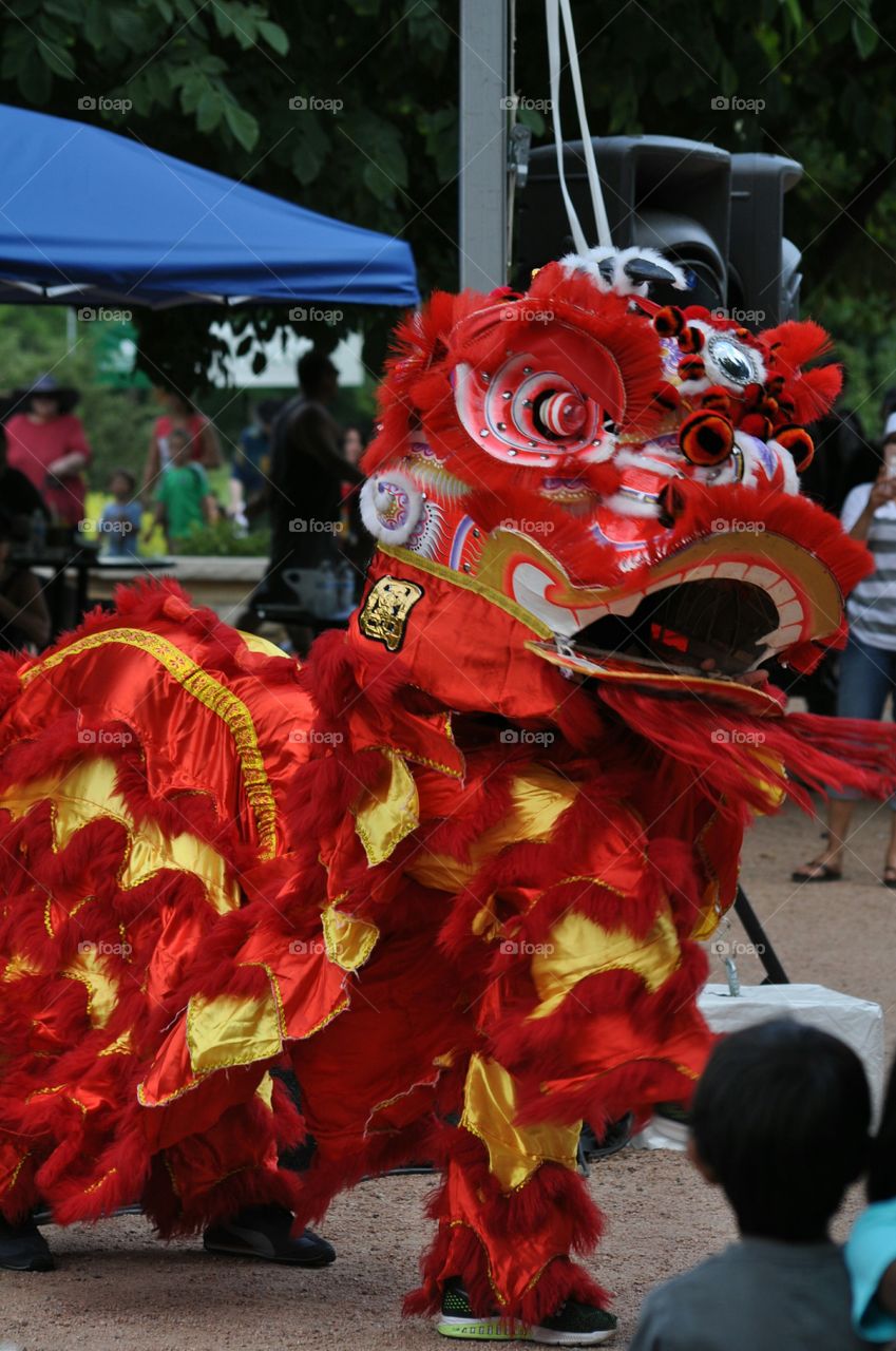 lion dancing