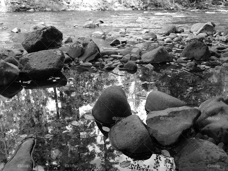 Trees reflect in still water in boulders on the banks of the rushing McKenzie River in the forests of Western Oregon on a fall day. 